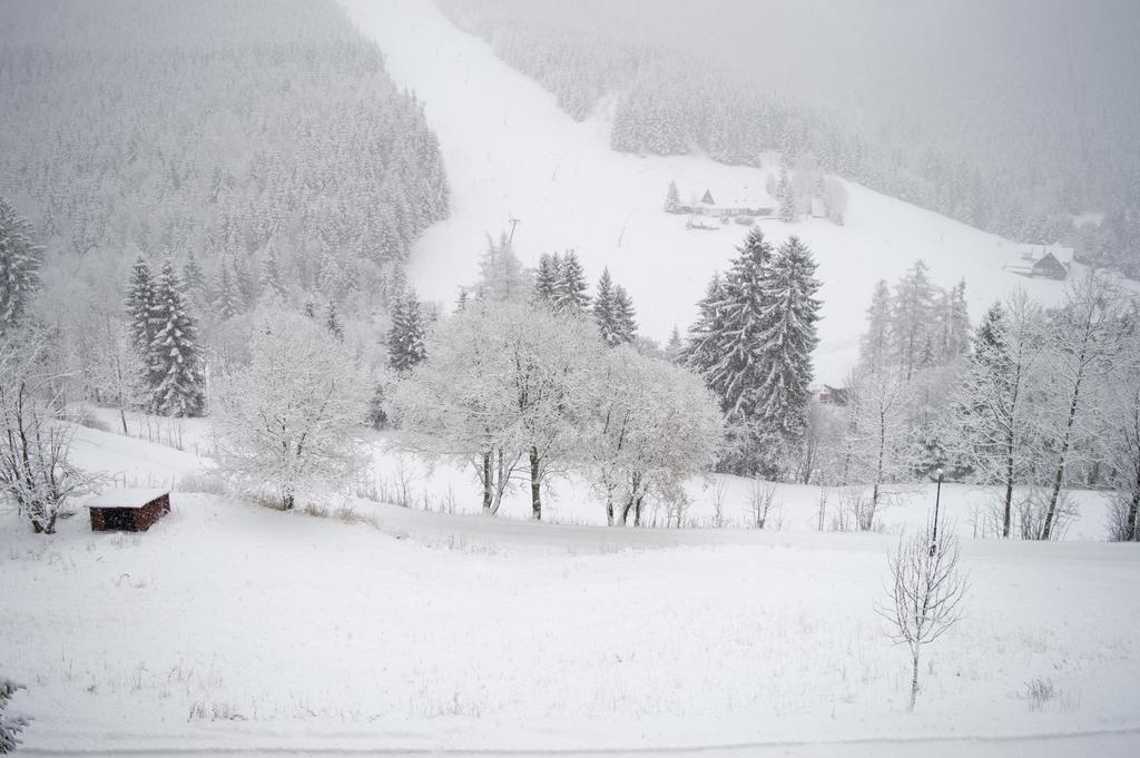 Hotel Adam Spindleruv Mlyn Exterior photo